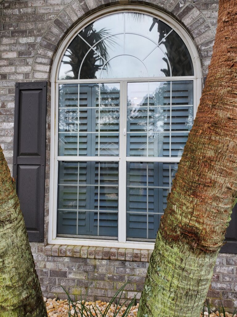 Window featuring hybrid plantation shutters with a decorative arch, framed by palm trees and brick exterior, showcasing a stylish window treatment option for residential spaces.