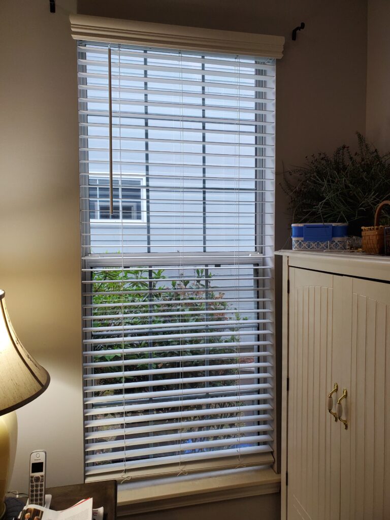 Interior view of window with faux wood blinds, showcasing greenery outside, highlighting window treatment options for home aesthetics.