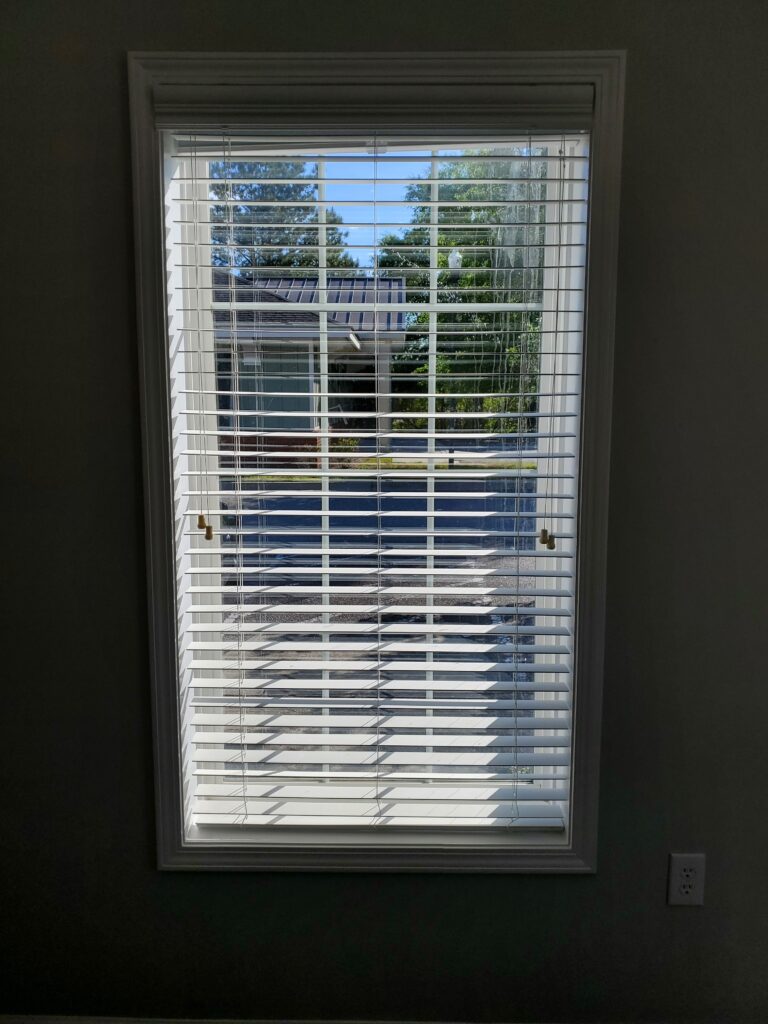 Window with white faux wood blinds, showcasing a view of greenery and outdoor space, highlighting window treatment options for home aesthetics.