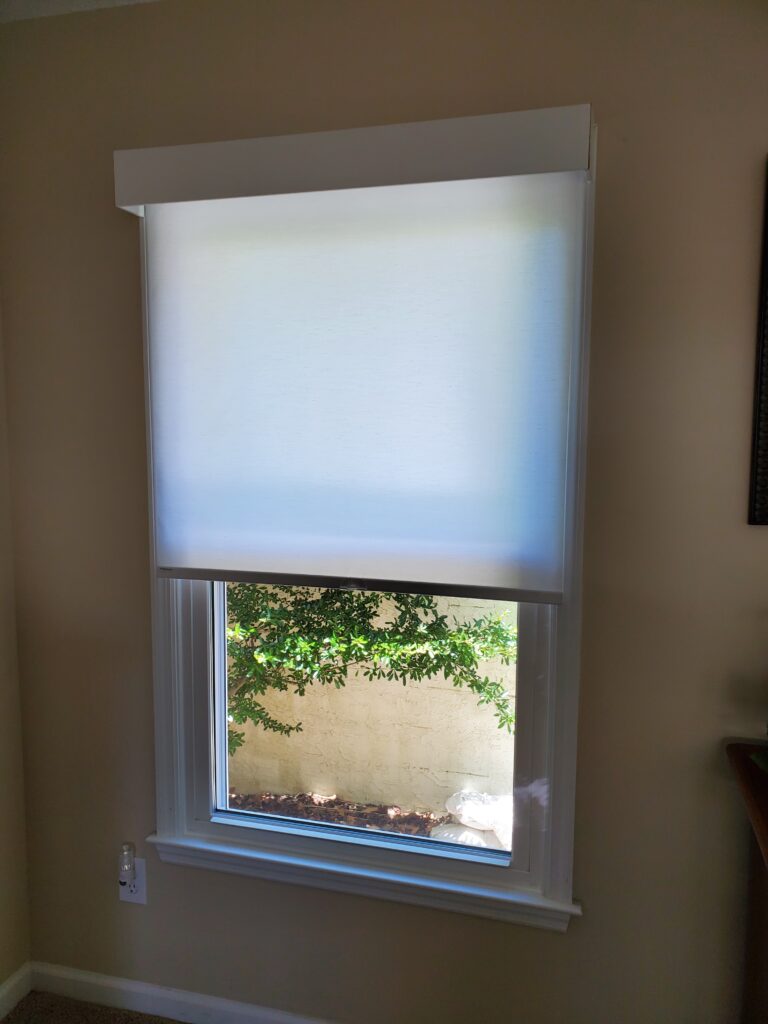 Window with light-filtering roller shade, framed by white trim, showcasing greenery outside, illustrating modern window treatment options by Plantation Shutter Pros.